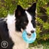 InnovaGoods 2-in-1 Freezable Pet Chew Toy Glubiz InnovaGoods 