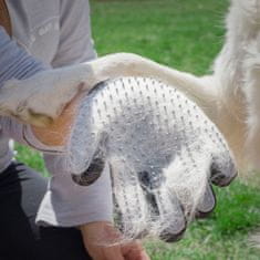 InnovaGoods Pet Brush & Massage Glove Relpet InnovaGoods 