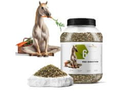 sarcia.eu Phytoseo zeliščna mešanica PHYTO HORSE 6 - prebava - 1,4 kg 