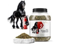 sarcia.eu Phytoseo zeliščna mešanica PHYTO HORSE 2 - protivnetna - 1,2 kg 