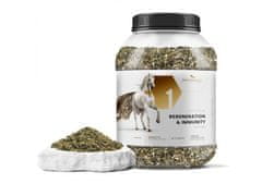 sarcia.eu Phytoseo zeliščna mešanica PHYTO HORSE 1 - regeneracija in odpornost - 1,4 kg 