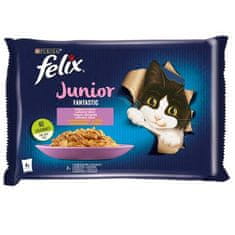 Felix Fantastic JUNIOR Multipack vrečka 4x85g piščanec in losos v želeju