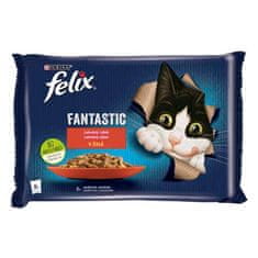 Felix Fantastic Multipack vrečka 4x85g z govedino in piščancem v želeju