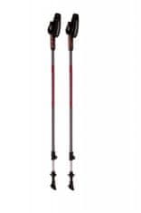 Blizzard Blizzard Alu Performance Nordic Walking