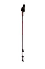 Blizzard Blizzard Alu Performance Nordic Walking