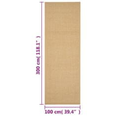 Vidaxl Preproga naravni sisal 100x300 cm