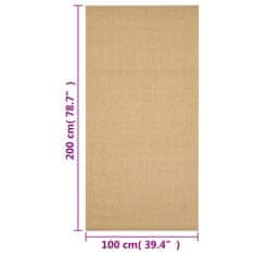 Vidaxl Preproga naravni sisal 100x200 cm