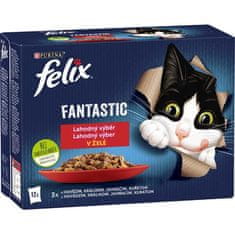 Felix Kapsule za mačke .-Fant.Multipack izbor mesa 12 x 85 g