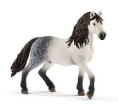 Schleich Horse Club 13821 Andaluzijski konj - žrebec