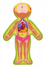 Sestavljanka "Človeško telo" - Holka SK