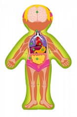 Woody Dvostranska sestavljanka Človeško telo - Dekle