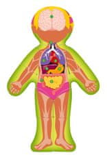Woody Dvostranska sestavljanka Človeško telo - Dekle
