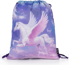 Oxybag Vrečka za vadbo 30x37cm Pegasus