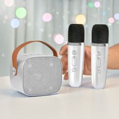 Northix Prenosni komplet za karaoke z brezžičnimi mikrofoni 