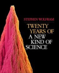 Twenty Years of a New Kind of Science