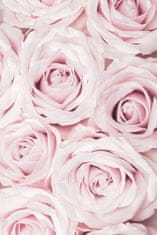 Pelcasa Pink Roses No 02 - 30x40 cm 