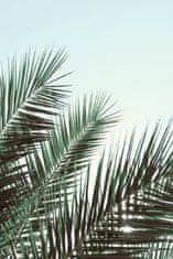 Pelcasa Palm Leaves, Sky_1 - 21x30 cm 