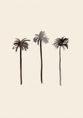 Pelcasa Palm Trees Ink - 30x40 cm 