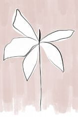 Pelcasa Bordered Flower - 70x100 cm 