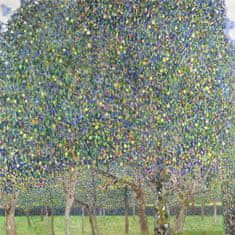 Pelcasa Pear Tree (1903) - 30x40 cm 