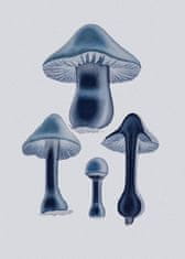 Pelcasa Agaricus Bulbosus - Blue - 70x100 cm 