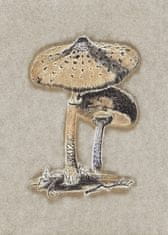 Pelcasa Hand Drawn Parasol Mushroom Brown - 30x40 cm 