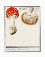 Pelcasa Fly Agaric, Amanita Muscaria - 70x100 cm 