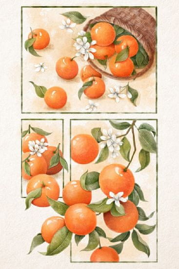 Pelcasa Orange Blossom - 50x70 cm