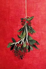 Pelcasa Painted Mistletoe - 30x40 cm 