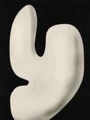 Pelcasa Abstract White Sculpture Y - 50x70 cm 