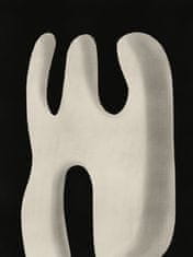 Pelcasa Abstract White Sculpture Scream - 70x100 cm 