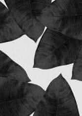 Pelcasa Banana Leaf Black Aamp White Ii - 50x70 cm 