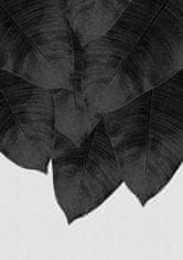 Pelcasa Banana Leaf Black Aamp White Iii - 21x30 cm 