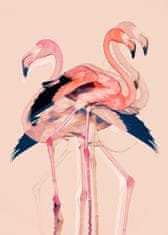 Pelcasa Flamingos Nr. 3 - 30x40 cm 