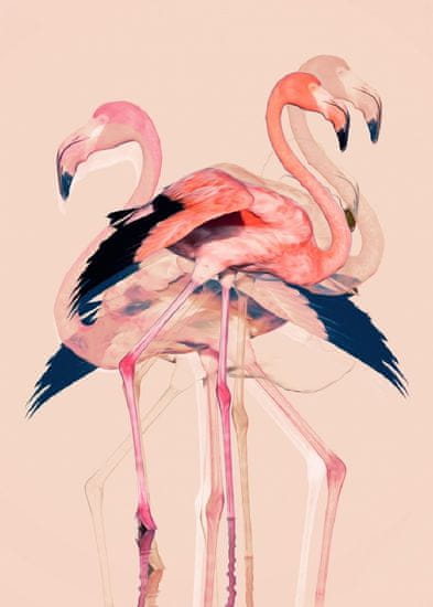 Pelcasa Flamingos Nr. 3 - 70x100 cm