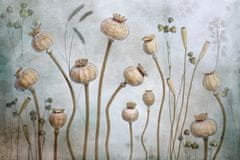 Pelcasa Papaver - 50x70 cm 