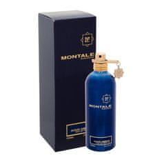 Montale Paris Aoud Ambre 100 ml parfumska voda unisex