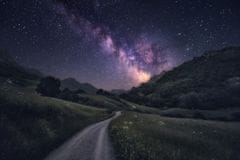 Pelcasa Path To The Stars - 50x70 cm 