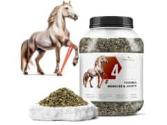 sarcia.eu Phytoseo zeliščna mešanica PHYTO HORSE 4 - elastične mišice in sklepi - 1,1 kg 