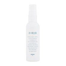 Ziaja Ziaja - Limited Summer Modeling Sea Salt Hair Spray 90ml