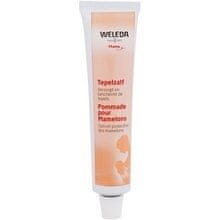 Weleda Weleda - Mother Nipple Balm - Balzám na bradavky v období těhotenství a kojení 25.0g 