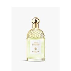 Guerlain Guerlain Aqua Allegoria Eau De Toilette Nerolia Vetiver 125ml Spray 