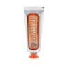 Marvis Ginger Mint Toothpaste 25ml 