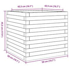 Vidaxl Vrtno cvetlično korito belo 50x50x45,5 cm trdna borovina