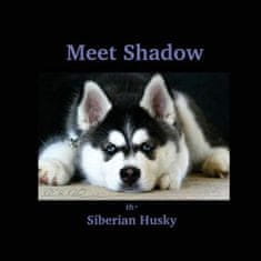 Meet Shadow the Siberian Husky: Meet Shadow