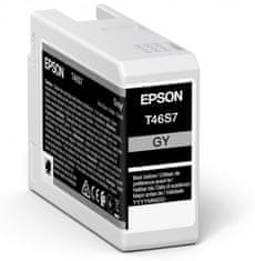 Epson enojno pakiranje sive barve T46S7 Ultrachrome