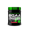 BCAA + Glutamin Xpress 300 g lubenica