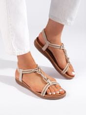 Amiatex Ženski sandal 108960, odtenki rjave in bež, 38