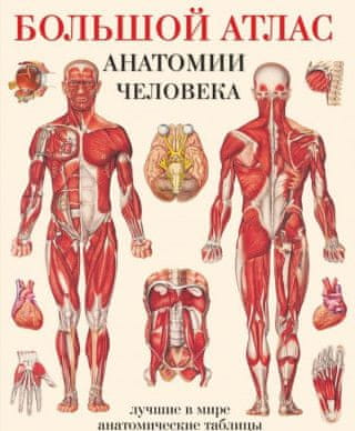 Большой атлас анатомии человека. Системы и органы