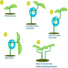 Netscroll Sponke za usmerjanje rasti rastlin, set 30 kosov, za optimalno rast rastlin in estetski videz, AnglePlant
